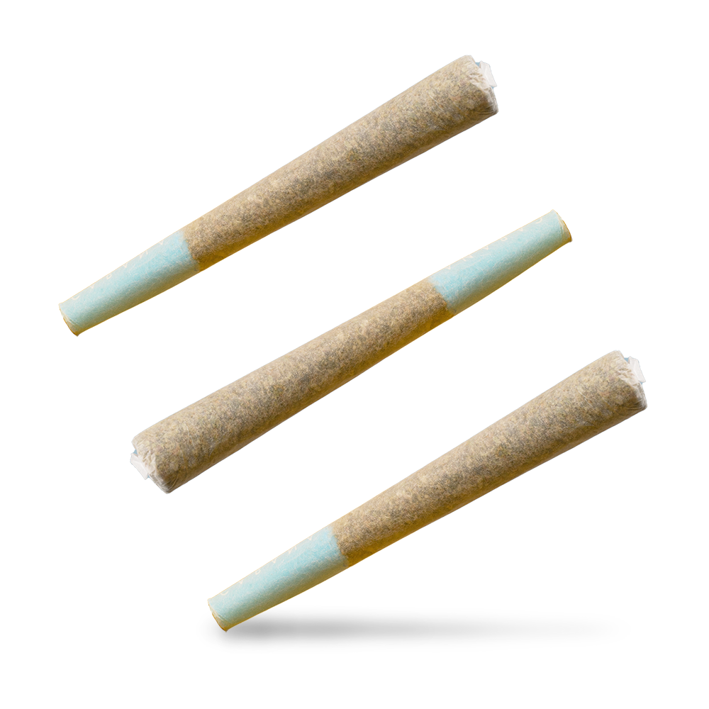 High-quality cannabis pre-rolls available at RNR Cannabis Dispensary in Bushwick, Brooklyn.