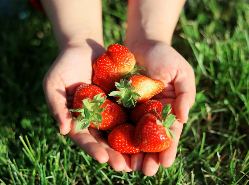 berry picking rochester ny