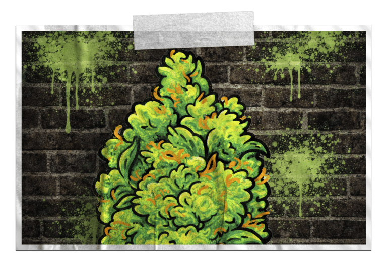 Cannabis flower buds available from RNR Dispensary